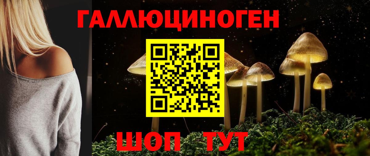 Псилоцибиновые грибы прущие грибы Ахтубинск