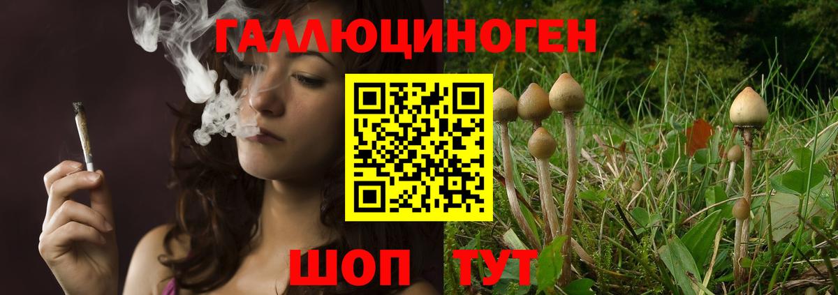 Ахтубинск  Галлюциногенные грибы ЛСД  Вход с VPN 